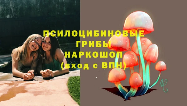 spice Балахна