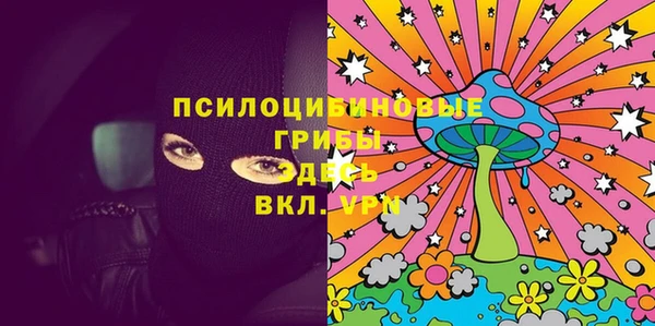 гидра Туринск