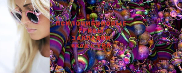 spice Балахна