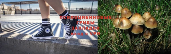spice Балахна