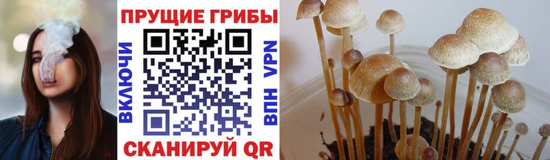 Купить  Бабушкин  Галлюциногенные грибы MAGIC MUSHROOMS 